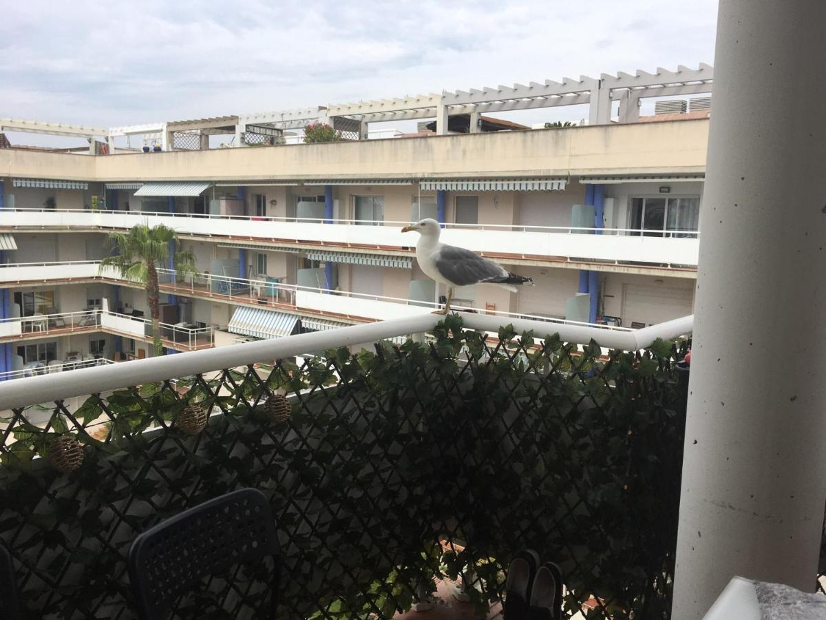 Superbe Appartement Avec Solarium Et Piscine Communautaire Roses Dış mekan fotoğraf